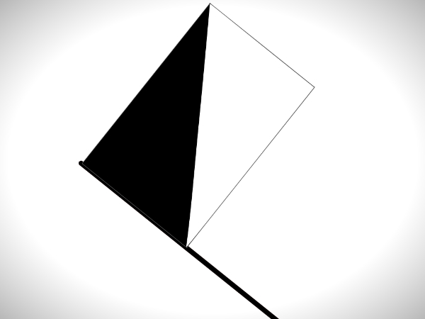 आधा सफेद और आधा काला झंडा 