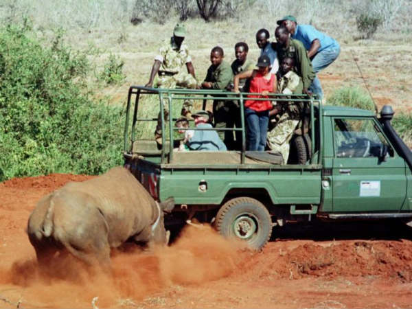 Dangerous Animals Attack On Vehicle