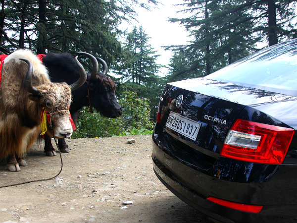 2013 Skoda Octavia Launched In India; Price, Features & Specification 