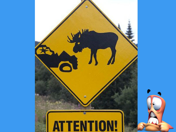 Funny Road Signboards 