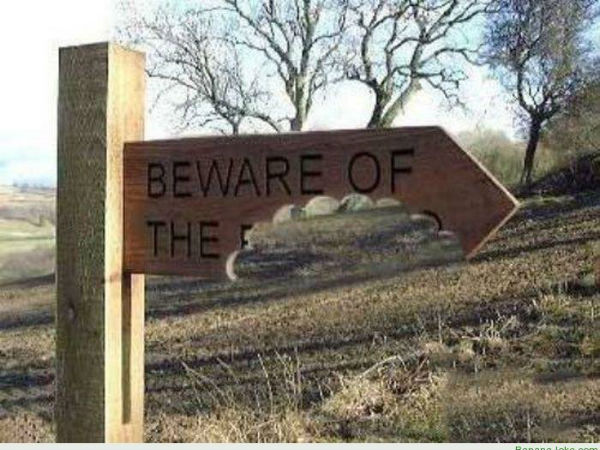 Funny Road Signboards 