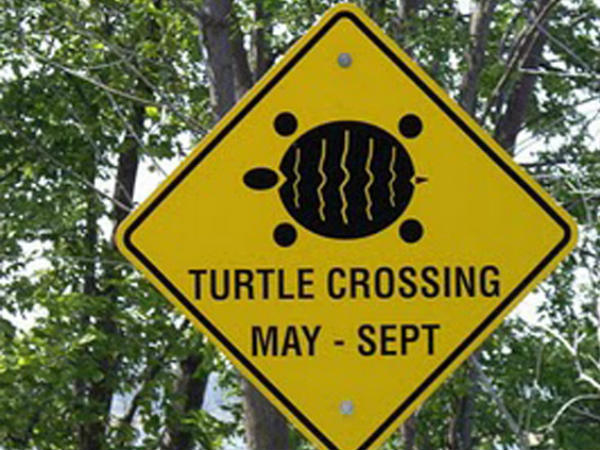 Funny Road Signboards 