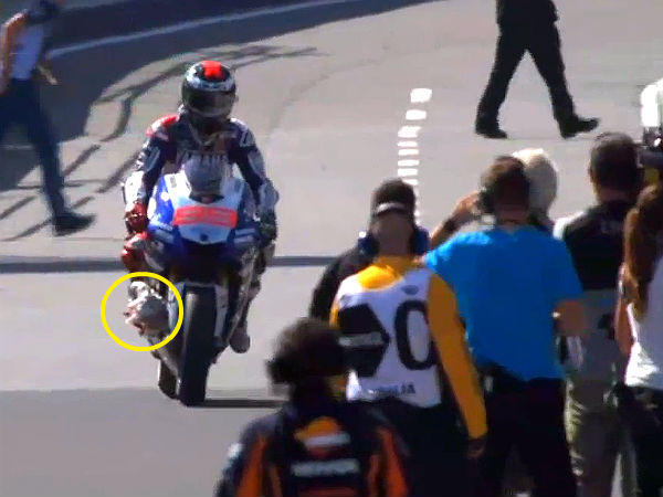 Seagull Gets Sucked Into Lorenzo’s Bike During Australian MotoGP