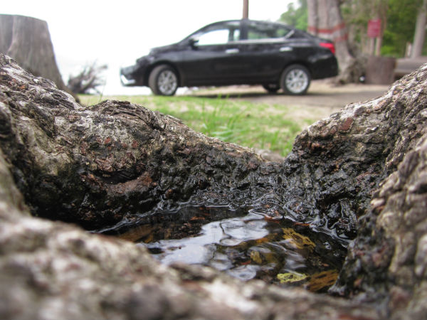 अब और बड़ी हो गई निसान की सन्नी