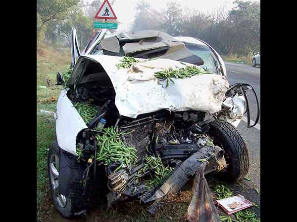 18. जानवर: