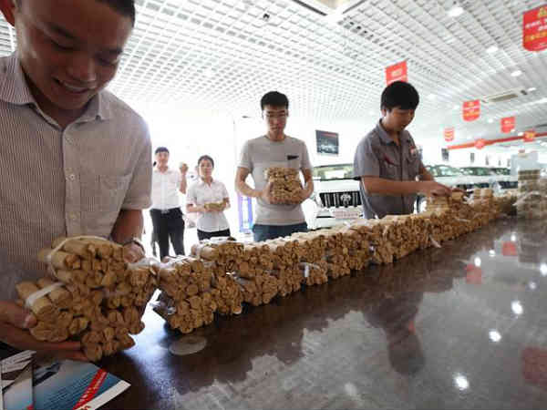 कार के लिये जुटाये सिक्‍कें 