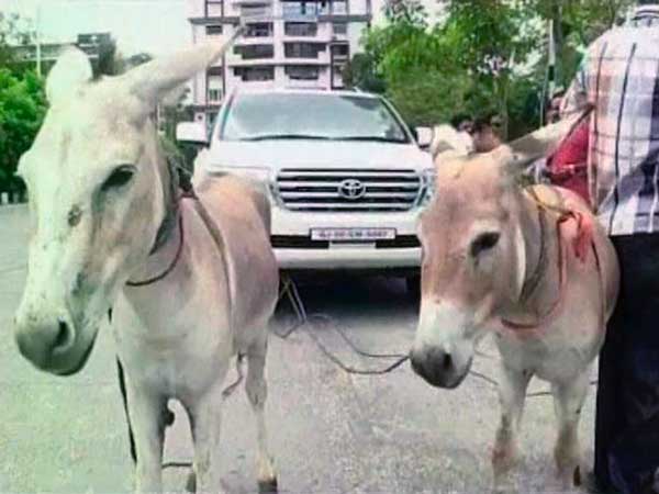 सूरत में गदहों ने खीची करोड़ो की लैंड क्रूजर एसयूवी