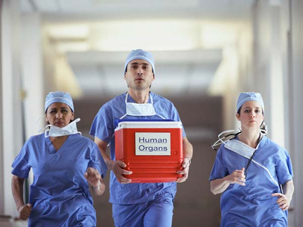 2: विमानों में होते हैं ह्यूमन ऑर्गन