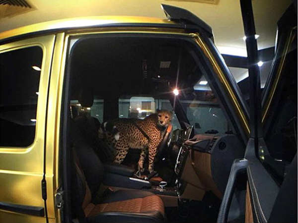 PHOTOS : जब लंदन की सड़कों पर सोने की कारों में घूमने निकला सऊदी रईस..तो देखने वाले रह गए दंग