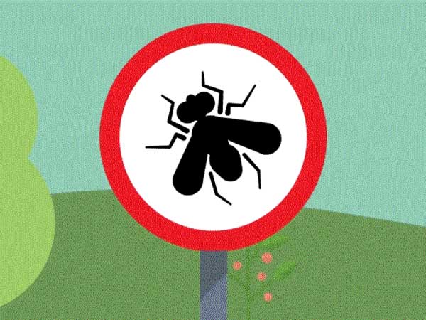 डर्टी वॉशिंग एसेसरीज डर्टी वॉशिंग एसेसरीज