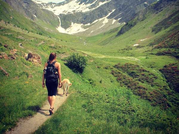 अपनी पुरानी कार को बनाया अपना घर और अपने डॉगी के साथ निकल पड़ी दुनिया के सैर पर यह लड़की