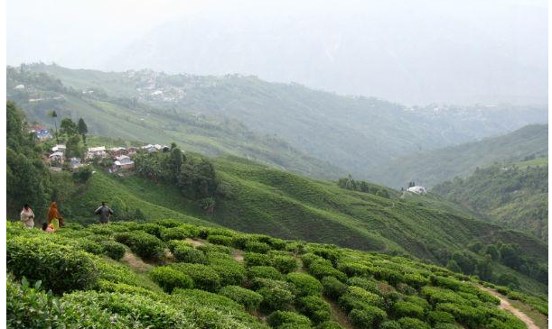 शानदार, जबरदस्त, जिंदाबाद, जी हां.. इन मार्गों पर ट्रैवल करके आपके मुंह से बस यही शब्द निकलेगें...