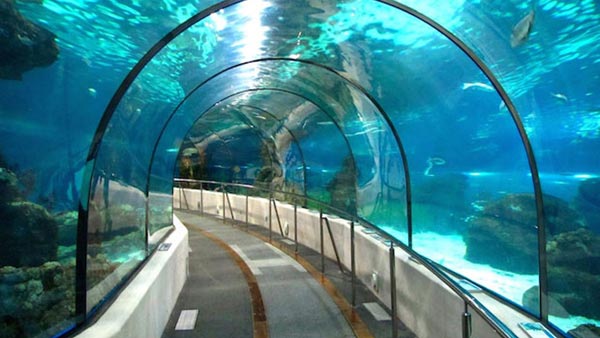 क्या दुबई से मुंबई के बीच समुद्री रेल नेटवर्क संभव है? क्या दुबई से मुंबई के बीच समुद्री रेल नेटवर्क संभव है?