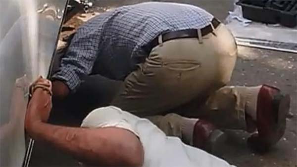 बिल्ली की जान बचाने के लिए इस व्यापारी ने अपनी मर्सिडीज को दांव पर लगा डाला