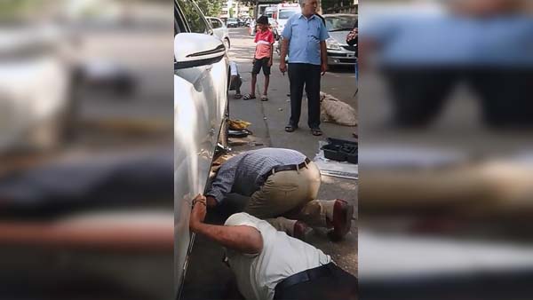 बिल्ली की जान बचाने के लिए इस व्यापारी ने अपनी मर्सिडीज को दांव पर लगा डाला