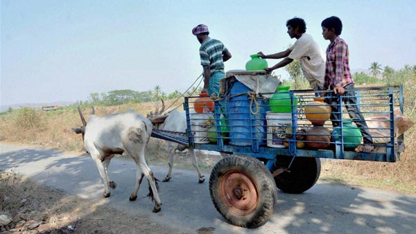 मोटर व्हीकल एक्ट 2019: बैल-गाड़ी पर ट्रैफिक फाइन 1000 रुपयें जानकारी