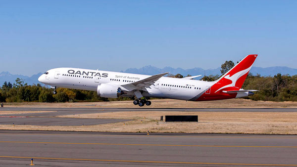 हवाई जहाज में भी लगे होते हैं हाॅर्न, जानिये कैसे करता है काम