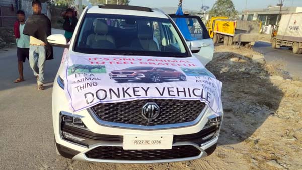 एमजी हेक्टर के ग्राहक ने कार में बंधवाया गधा, कहा यह कार इंसानों के लायक नहीं एमजी हेक्टर के ग्राहक ने कार में बंधवाया गधा, कहा यह कार इंसानों के लायक नहीं