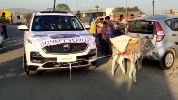 एमजी हेक्टर के ग्राहक ने कार में बंधवाया गधा, कहा यह कार इंसानों के लायक नहीं एमजी हेक्टर के ग्राहक ने कार में बंधवाया गधा, कहा यह कार इंसानों के लायक नहीं