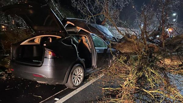 टेस्ला कार के ऑटो पायलट फीचर ने बचाई 8 लोगों की जान, महिला ने ट्वीट कर कहा एलोन मस्क को शुक्रिया