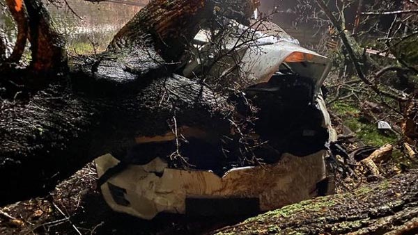 टेस्ला कार के ऑटो पायलट फीचर ने बचाई 8 लोगों की जान, महिला ने ट्वीट कर कहा एलोन मस्क को शुक्रिया