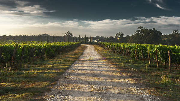 हैदराबाद की स्टार्टअप कंपनी ने पेश किया इलेक्ट्रिक ट्रेक्टर, सिर्फ 2 घंटे में होती है फुल चार्ज