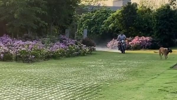 एमएस धोनी कोरोना लॉकडाउन में यामाहा आरडी 350 चलाते नजर आये वीडियो