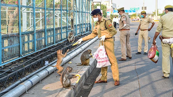 Mumbai Police Collect Rs 9 Crore Fine: लॉकडाउन का उल्लंघन करने वालों से मुंबई पुलिस ने वसूला 9 करोड़ रुपये का चालान