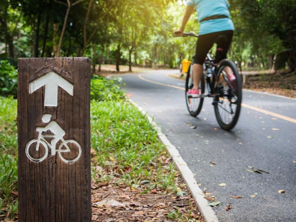 World Bicycle Day: साइकिल को बनाएं बाइक और स्कूटर का विकल्प, चलाएं और रहें निरोग