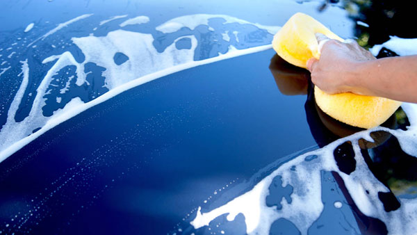 Turtle Wax Car Care Products India Launch: कार केयर प्रोडक्ट कंपनी टर्टल वैक्स ने भारत में की शुरुआत