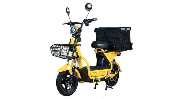 eBikeGo Offers Subscription-Based E-Cycles: ई-बाइक गो ने सब्सक्रिप्शन पर आधारित ई-साइकिल किया पेश