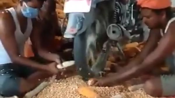 Bike Turned Into Farming Equipment: बाइक के चलते टायर से निकाल रहे थे मक्के के दाने, आनंद महिंद्रा ने की इस जुगाड़ की तारीफ