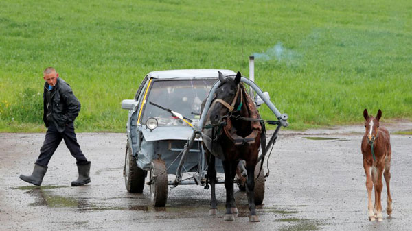 Audi 80 Converted Into Horse Buggy: चरवाहे ने ऑडी की कार को बनाया घोड़ागाड़ी, देखें तस्वीरें