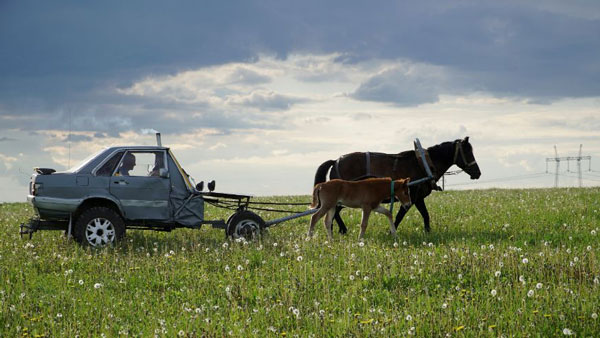 Audi 80 Converted Into Horse Buggy: चरवाहे ने ऑडी की कार को बनाया घोड़ागाड़ी, देखें तस्वीरें