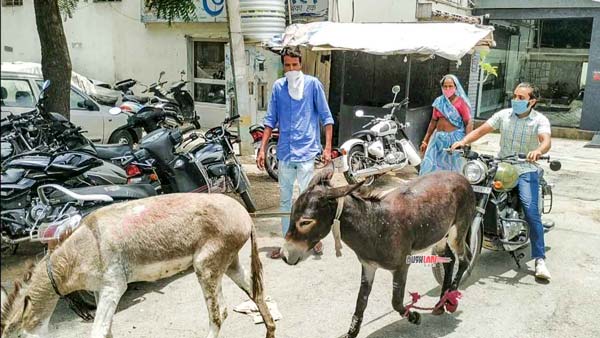 Jawa Owner Brings Donkeys Outside Delearship: जावा ओनर डीलरशिप के सामने लाया गधा, जानें क्या है कारण Jawa Owner Brings Donkeys Outside Delearship: जावा ओनर डीलरशिप के सामने लाया गधा, जानें क्या है कारण