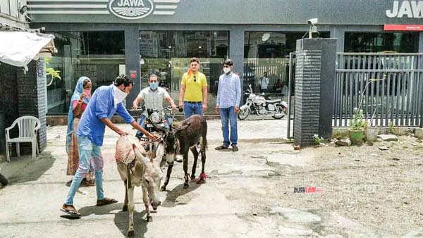 Jawa Owner Brings Donkeys Outside Delearship: जावा ओनर डीलरशिप के सामने लाया गधा, जानें क्या है कारण Jawa Owner Brings Donkeys Outside Delearship: जावा ओनर डीलरशिप के सामने लाया गधा, जानें क्या है कारण
