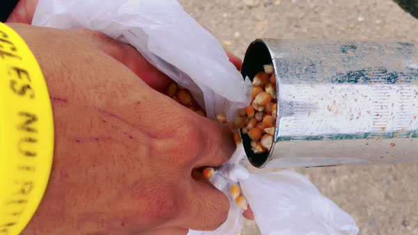 Royal Enfield Bike Makes Popcorn: राॅयल एनफील्ड की बाइक से तैयार किया पाॅपकाॅर्न, देखें वीडियो