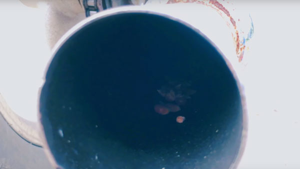 Royal Enfield Bike Makes Popcorn: राॅयल एनफील्ड की बाइक से तैयार किया पाॅपकाॅर्न, देखें वीडियो