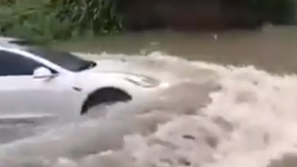 Tesla Model 3 Swimming Like Fish [Video]: सड़क पर भरा पानी तो तैरने लगी टेस्ला कार, देखें वीडियो