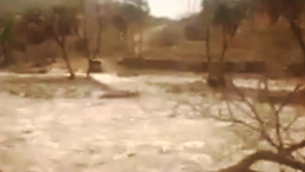 Mahindra Scorpio Easily Crosses A Water Stream: पानी में बही जा रही थी महिंद्रा स्कॉर्पियो, फिर अचानक से ऐसे निकली की सब हो गये हैरान