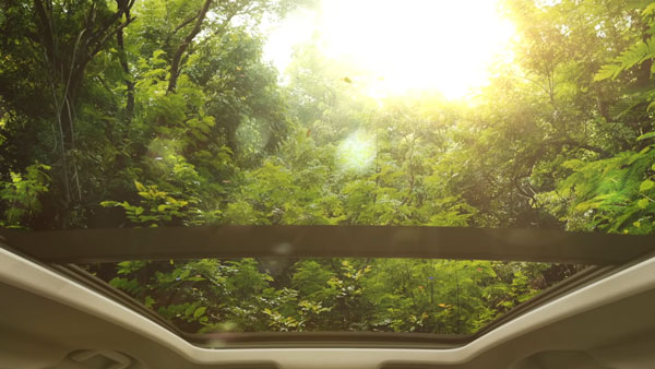 Tata Harrier New TVC Released: टाटा हैरियर का नया टीवीसी हुआ जारी, दिखाया यह बेहतरीन फीचर