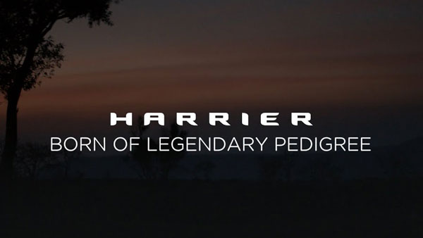 New Tata Harrier Commercial Adv: टाटा हैरियर का नया वीडियो ऐड हुआ जारी, देखें