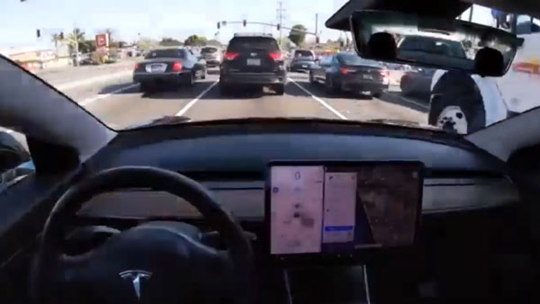 Driver Falls Asleep Behind wheel Of Overspeeding Tesla: टेस्ला कार को ऑटोपायलट में डालकर सोया ड्राईवर, स्पीड लिमिट तोड़ा