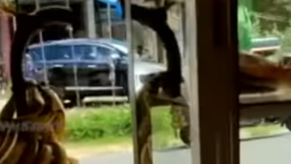 Thief Running With Toyota Innova Crysta Caught: चोरी कर ले भागा टोयोटा इनोवा, पुलिस ने दबोचा