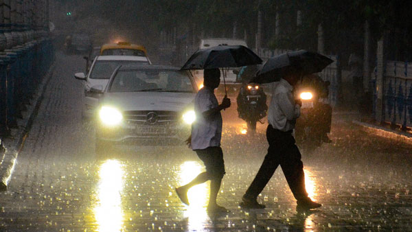 Driving Tips For New Drivers: न्यू ड्राईवर ड्राइविंग टिप्स जानकारी