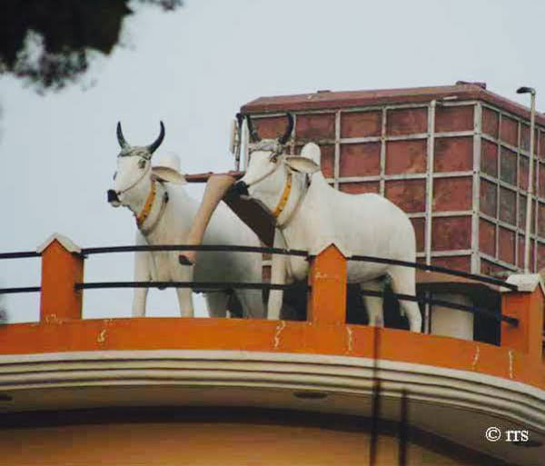 घर के ऊपर बनवाया महिंद्रा स्कॉर्पियो जैसा वॉटर टैंक, देखें तस्वीरें घर के ऊपर बनवाया महिंद्रा स्कॉर्पियो जैसा वॉटर टैंक, देखें तस्वीरें