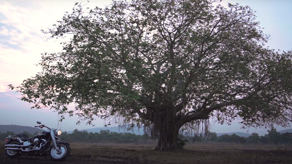 Harley-Davidson Video Ad: हार्ले-डेविडसन ने जारी किया वीडियो ऐड, दिलाया ग्राहकों को भरोसा