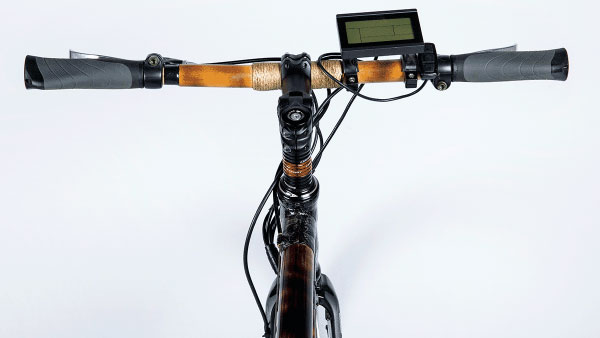 LightSpeed Eco Friendly e-Cycle: लाइटस्पीड मोबिलिटी ने लॉन्च की बांस से बनी ई-साइकिल, जानें कीमत