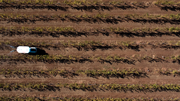 Monarch e-Tractor Unveiled: मोनार्क के इलेक्ट्रिक ट्रैक्टर का हुआ खुलासा, पहला सेल्फ-ड्रिवेन ट्रैक्टर