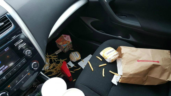 Why Leaving Food In Car Is Risky: आखिर कार में क्यों नहीं छोड़ना चाहिए खाने-पीने का सामान, 5 कारण